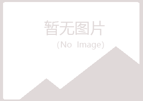 浦北县夏岚采矿有限公司